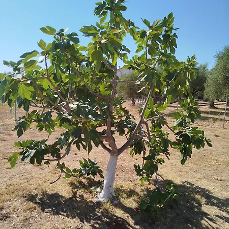 Nereids Apartments-galene *