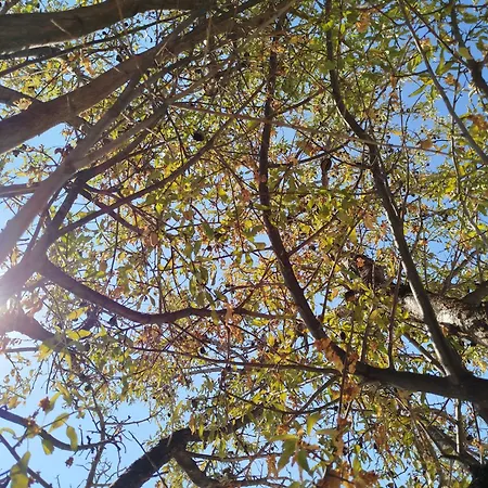 Nereids Apartments-galene *