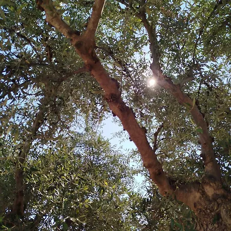 Appartement Nereids Apartments-galene *