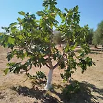 Nereids Apartments-galene *