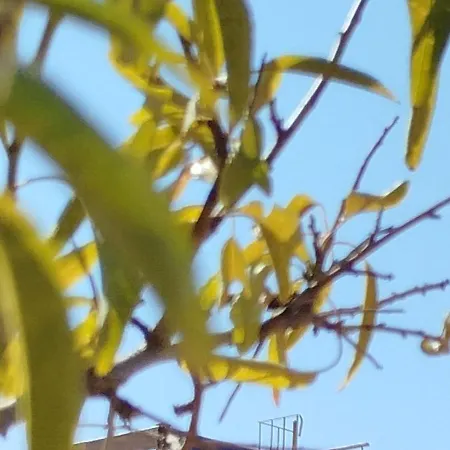 Апартаменты Nereids Apartments-galene *