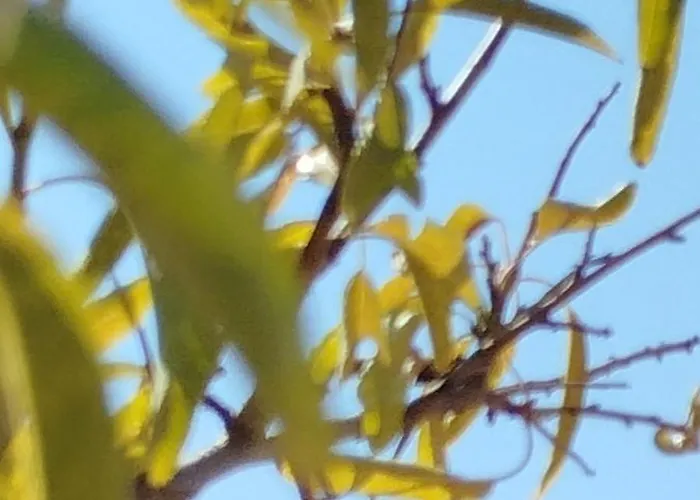 Apartment Nereids Apartments-galene *