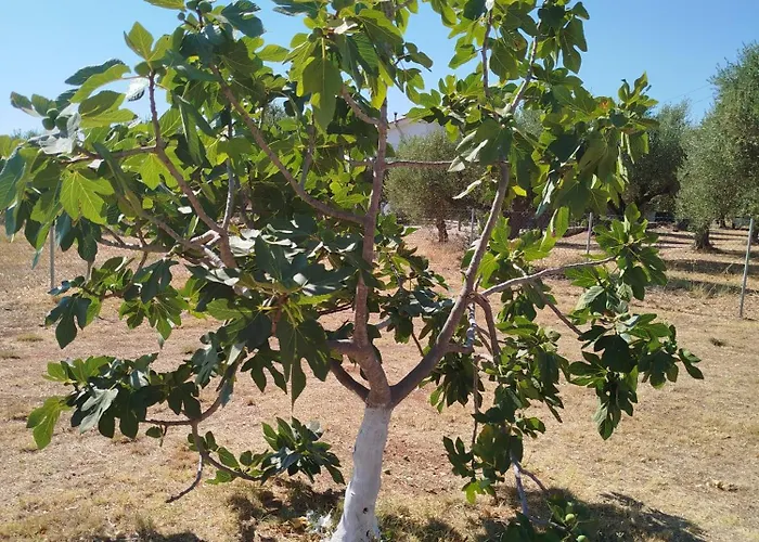 Nereids Apartments-galene *