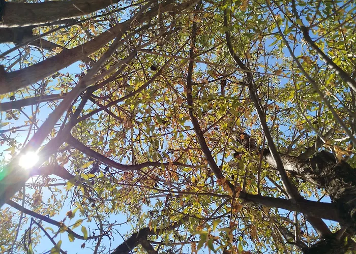 Nereids Apartments-galene *