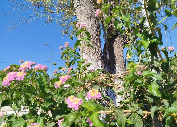 Nereids Apartments-galene Petalidi