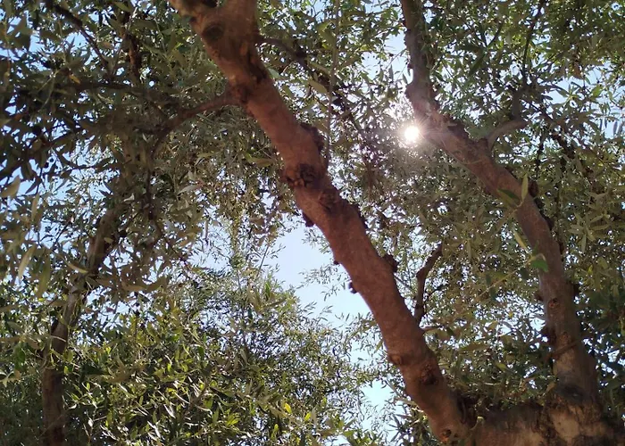 아파트 Nereids Apartments-galene *