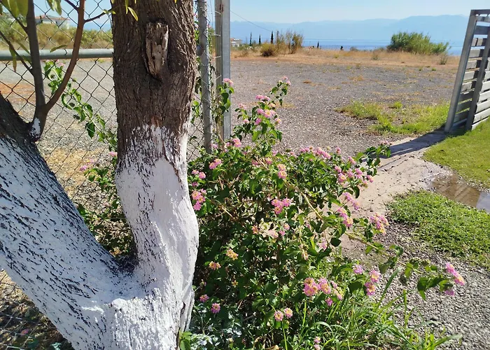 Apartment Nereids Apartments-galene